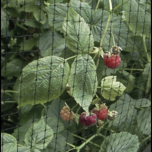 floricultura-poligrup