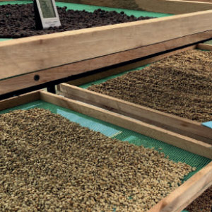 floricultura-poligrup