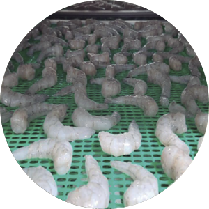 floricultura-poligrup