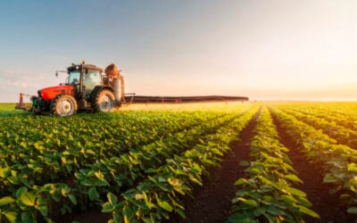 Agricultura protegida 2025–2030: cómo las mallas agrícolas están transformando los cultivos